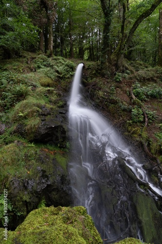 Stream and Running Water through forest with long exposure to create blurred water effects for textured background with contrasting sharp rock and fern foreground images