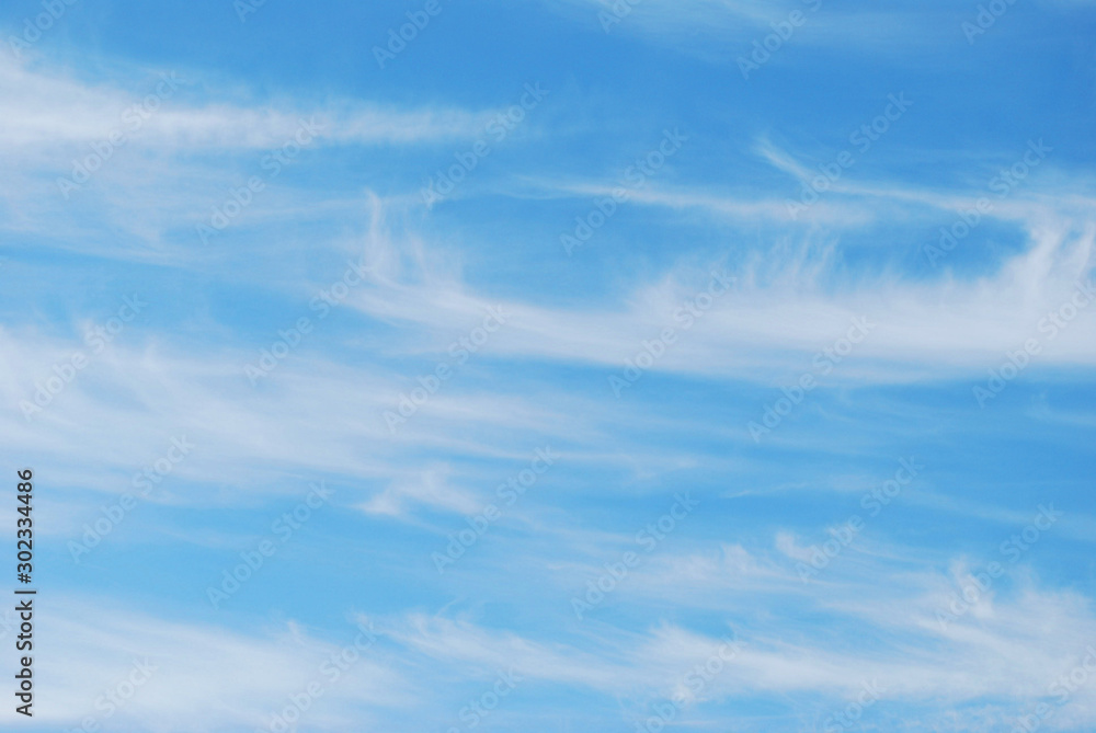 Fototapeta premium blue sky with white clouds