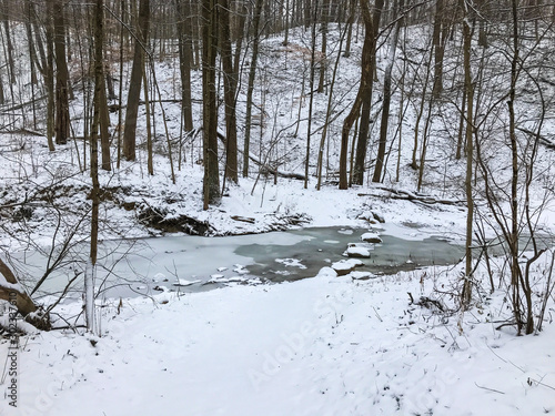 Frozen Stream in Winter Forest with Rocks