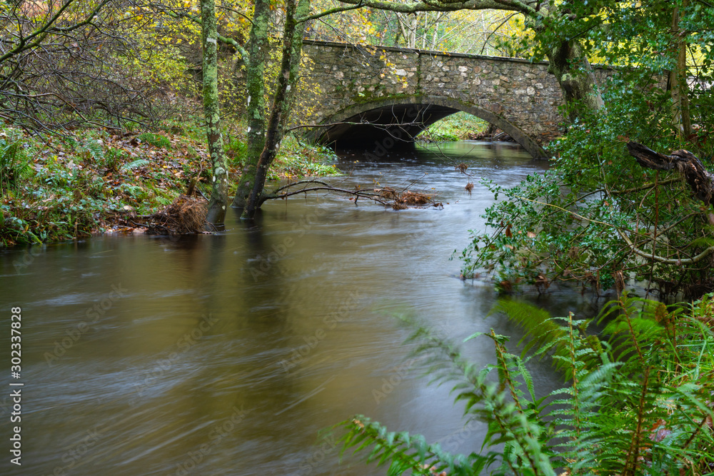 The small brook and stone bridge in the forest at the ancient Glendalough mistery site in the Wicklow mountains in Ireland The small brook and stone bridge in the forest at the ancient Glendalough mistery site in the Wicklow mountains in Ireland