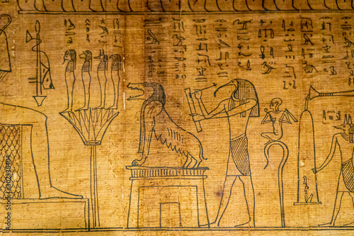 Gliphs in Egyptian book of dead photo