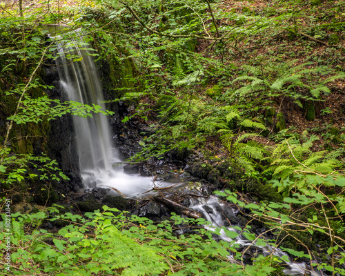 Waterfalls in Canonteign in South Devon photo