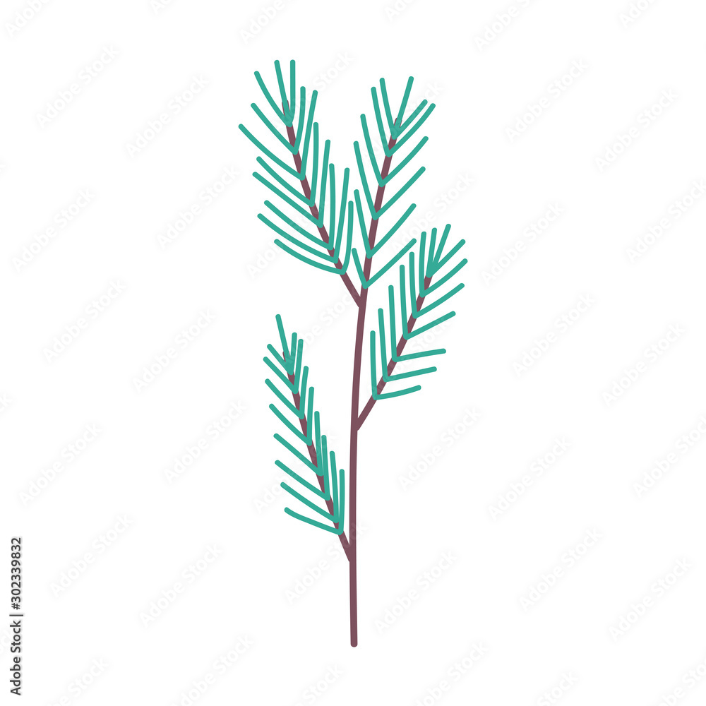 Fototapeta premium branch pine leaves foliage nature icon