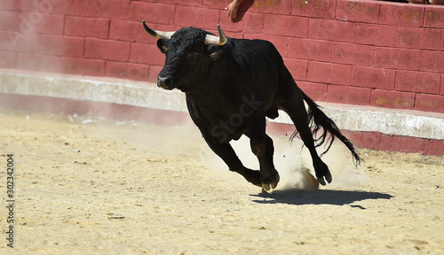 toro negro corriendo en una plaza de toros