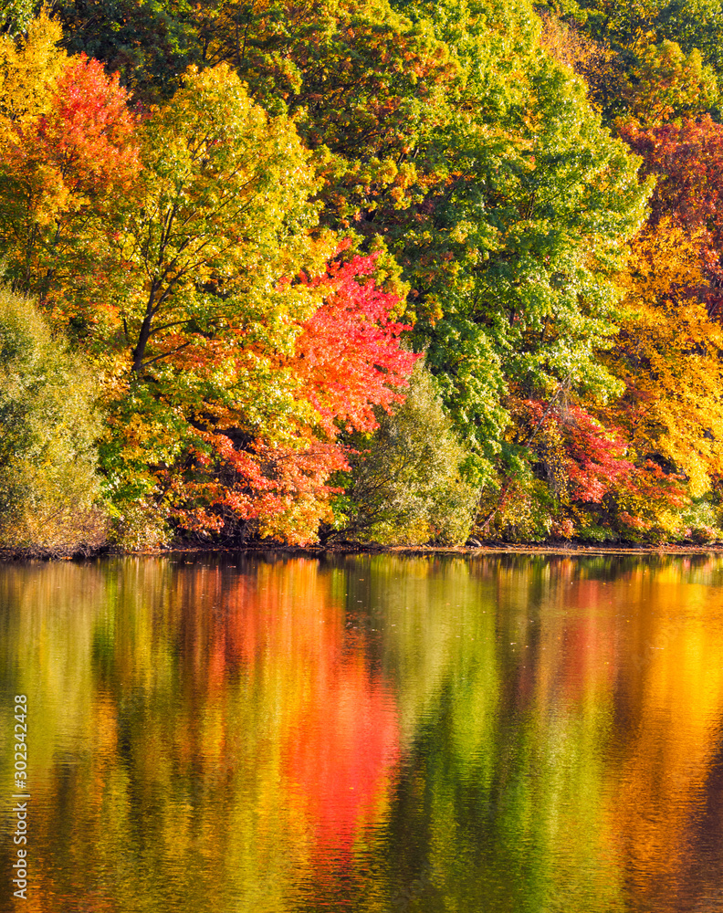 East coast in autumn leaf peeping fall leaves reflected in lake