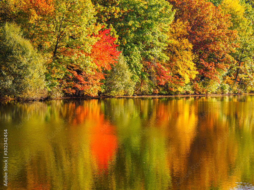 Fototapeta premium Fall in New York beautiful autumn leaves reflections in lake