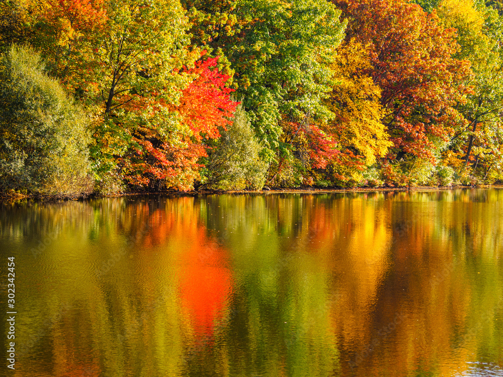 Fall in New York beautiful autumn leaves reflections in lake