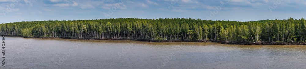 Long Tau River, Vietnam - March 12, 2019: At Thieng Lieng just up from mouth of river: panorama shot of dense green jungle bordering the brown water under blue cloudscape. Long Tau River, Vietnam - March 12, 2019: At Thieng Lieng just up from mouth of river: panorama shot of dense green jungle bordering the brown water under blue cloudscape.