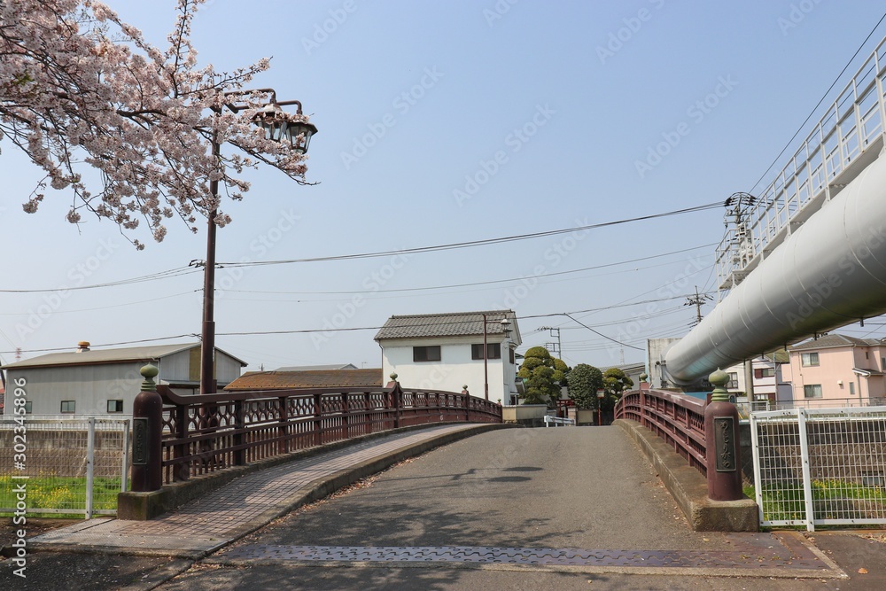 Fototapeta premium 端午橋（神奈川県寒川町）