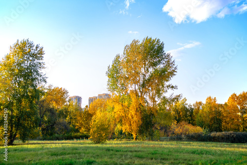 yellow trees in autumn Park and city houses in the background