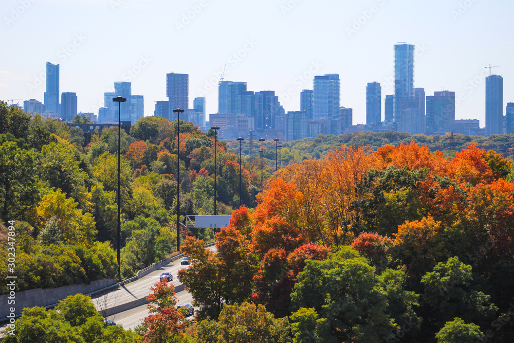 Obraz premium Fall colours with skyline view, city skyscrapers behind fall colors