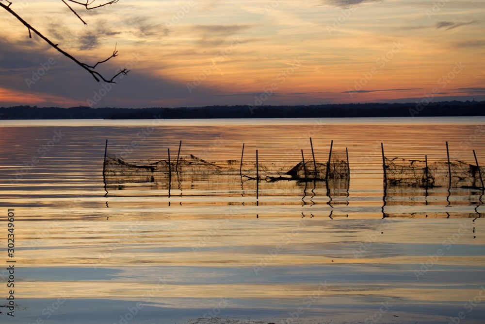 Sunset over water, Belmont Bay with netting fence in shallow water in silhouette of land and trees.	