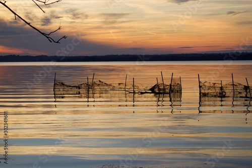Fototapeta Naklejka Na Ścianę i Meble -  Sunset over water, Belmont Bay with netting fence in shallow water in silhouette of land and trees.	
