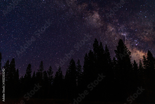 Milky Way Galaxy in Night Sky, In the Forest