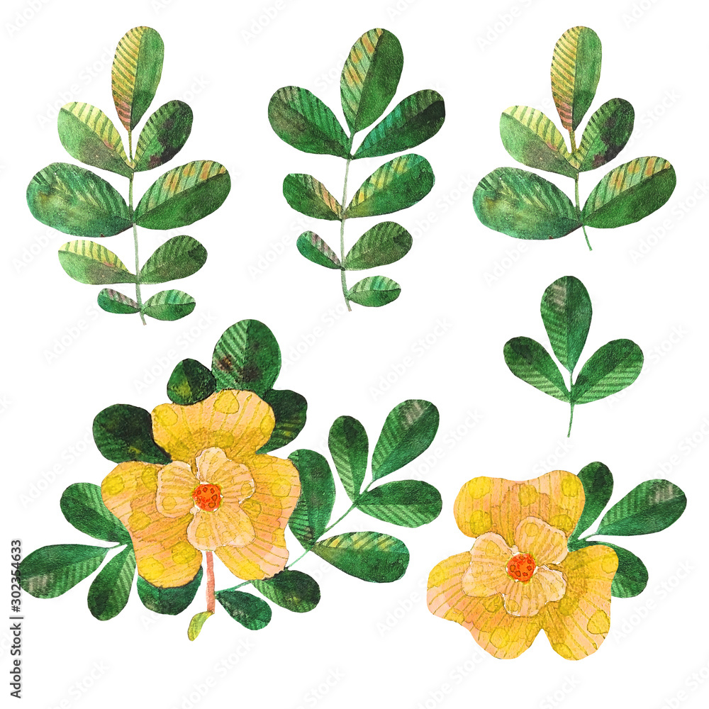 Fototapeta premium Set of watercolor stylized dog roses elements flowers, leaves