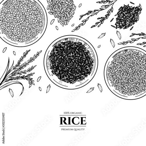 Vector frame with rice . Hand drawn. Vintage style