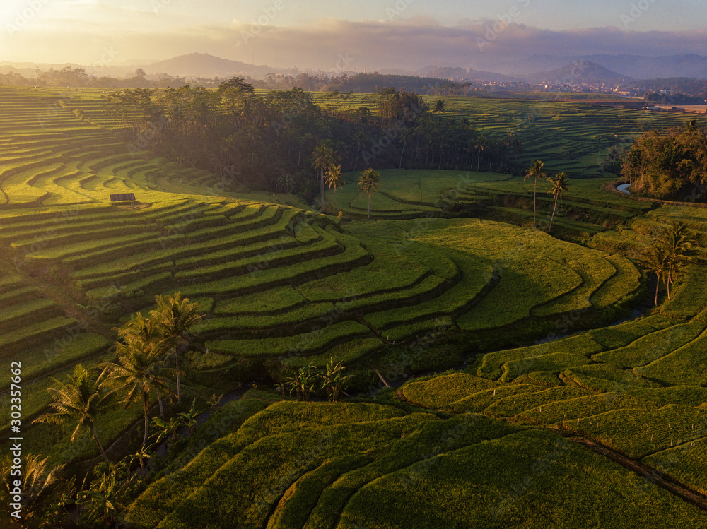 Aerial photo of rice terrace field in Indonesia which was taken in the morning / afternoon and dawn / dusk