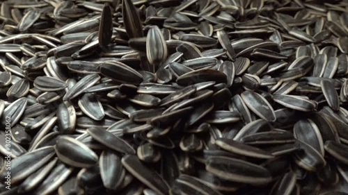 Sunflower seeds slowly fall from top to bottom