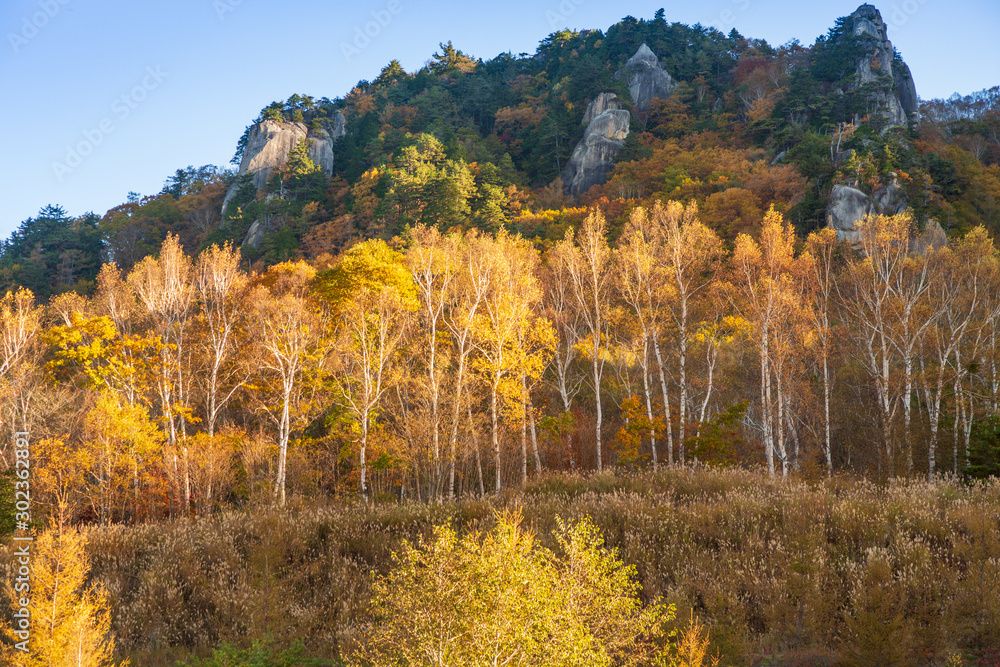 Fototapeta premium みずがき山自然公園 から瑞牆山の紅葉