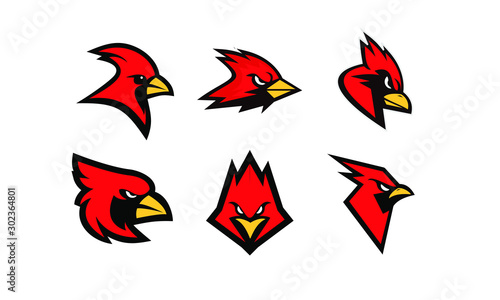 Fotografie set of cardinal bird logo icon design vector