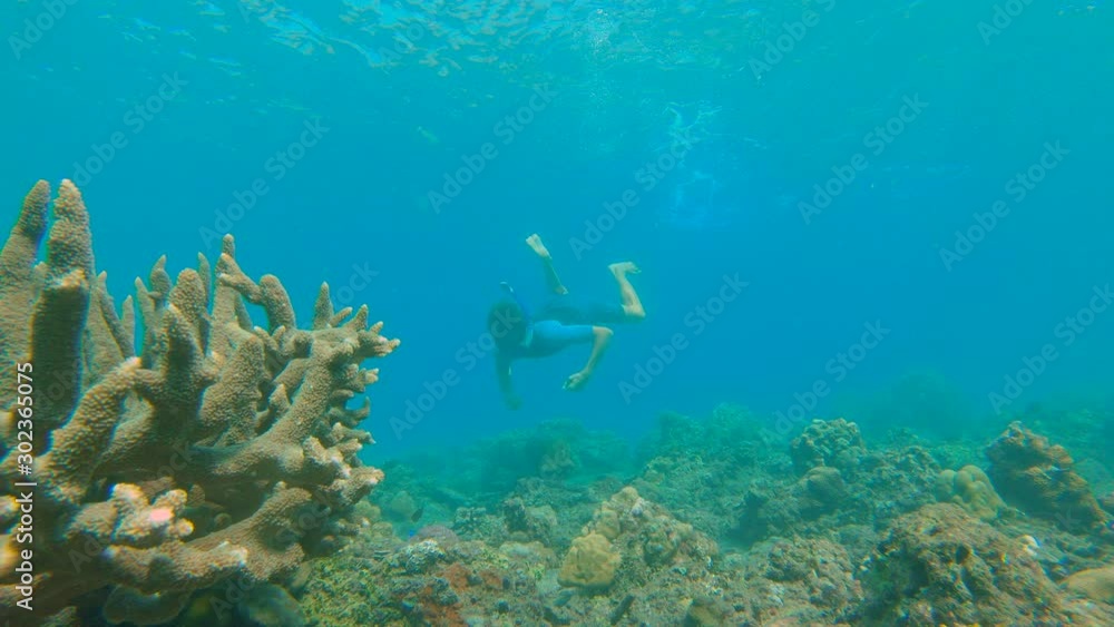 Slowmotion shot of a young man snorkeling among corals in clear blue water surrounded by lots of tropical fishes Slowmotion shot of a young man snorkeling among corals in clear blue water surrounded by lots of tropical fishes