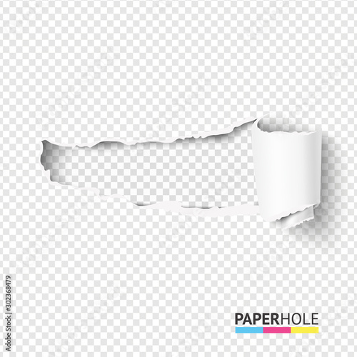 Vector blank curled tear paper piece into a scroll with torn edges of hole and shadows on a transparent background for sale promo empty banner revealing some message.