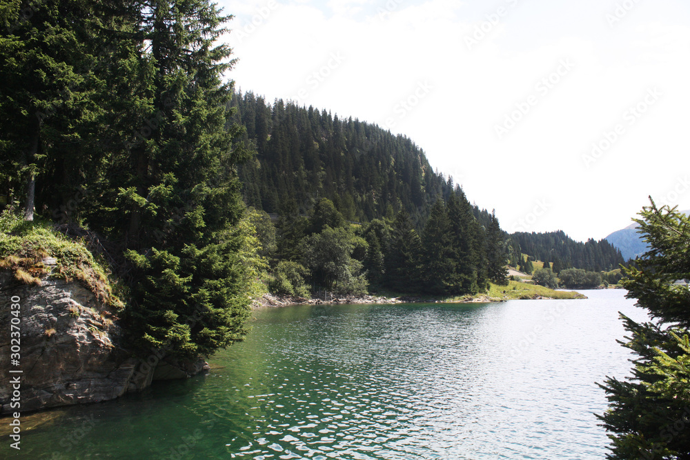 Swiss lake in the spruce forest with fir-tree , Alps. Summer Switzerland.