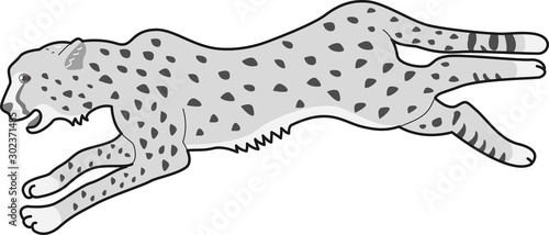 走る　チーター　リアル　白黒　イラスト　躍動感　シンプル　明るい　野生動物