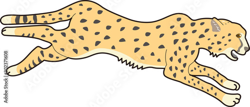 走る　チーター　リアル　イラスト　躍動感　シンプル　明るい　野生動物