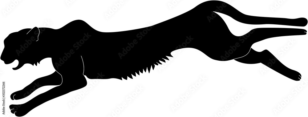 走る チーター リアル デザイン シルエット 白黒 イラスト 躍動感 シンプル 明るい 野生動物 Vector De Stock Adobe Stock