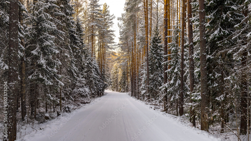 The winter snow road in the forest