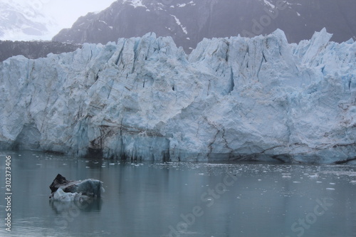 Glacier Bay Alaska