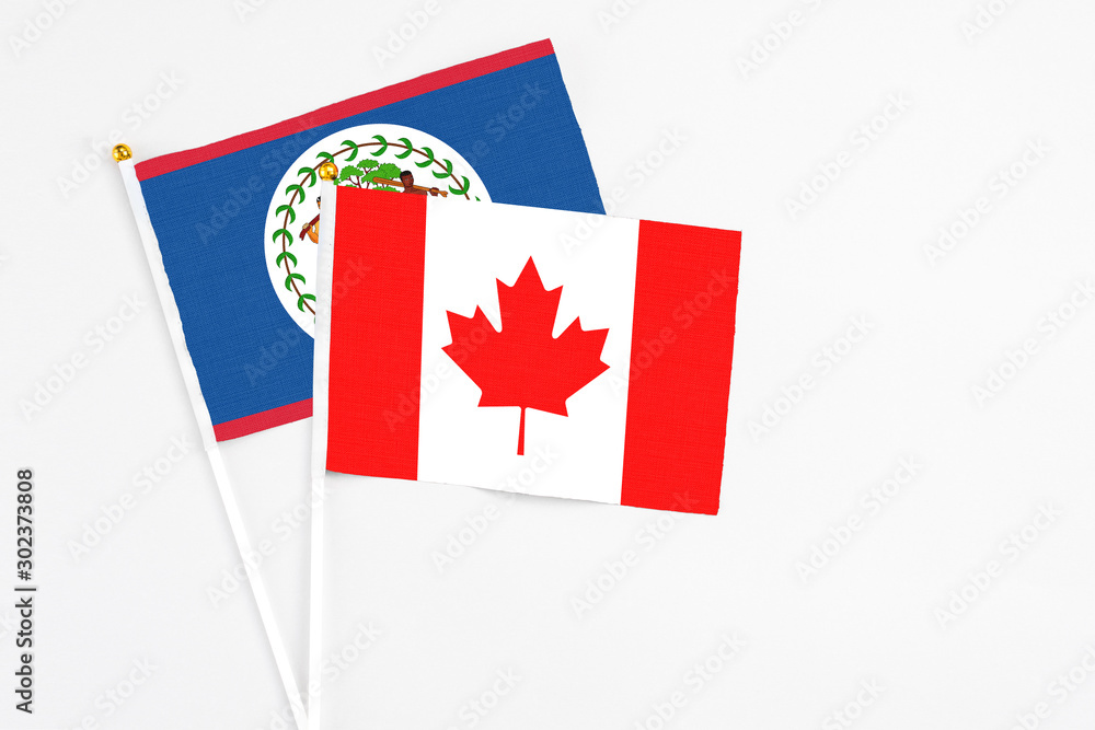 Canada and Belize stick flags on white background. High quality fabric, miniature national flag. Peaceful global concept.White floor for copy space. Canada and Belize stick flags on white background. High quality fabric, miniature national flag. Peaceful global concept.White floor for copy space.