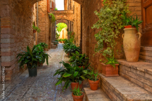 Plants in pots on narrow street of the ancient city of Spello, Umbria, Italy