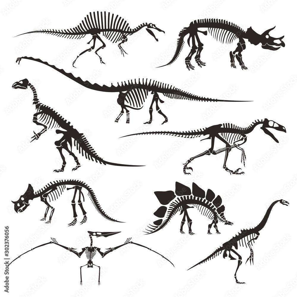 Naklejka Prehistoryczne kości zwierząt, szkielety dinozaurów na białym tle ikony