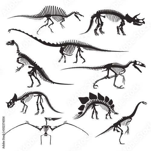 Prehistoric animals bones  dinosaur skeletons isolated icons
