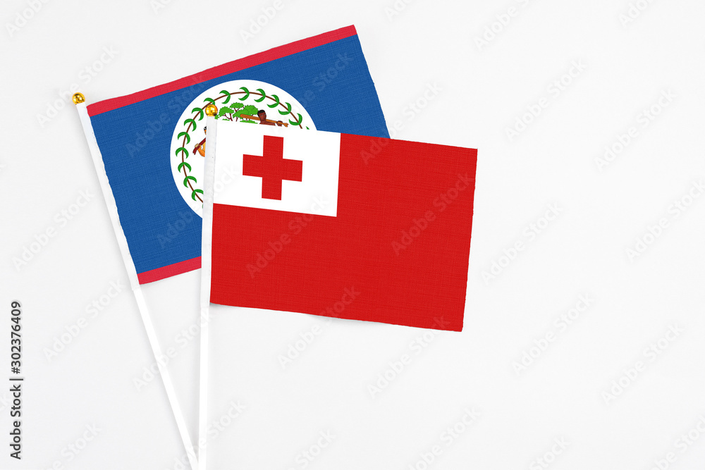 Tonga and Belize stick flags on white background. High quality fabric, miniature national flag. Peaceful global concept.White floor for copy space.