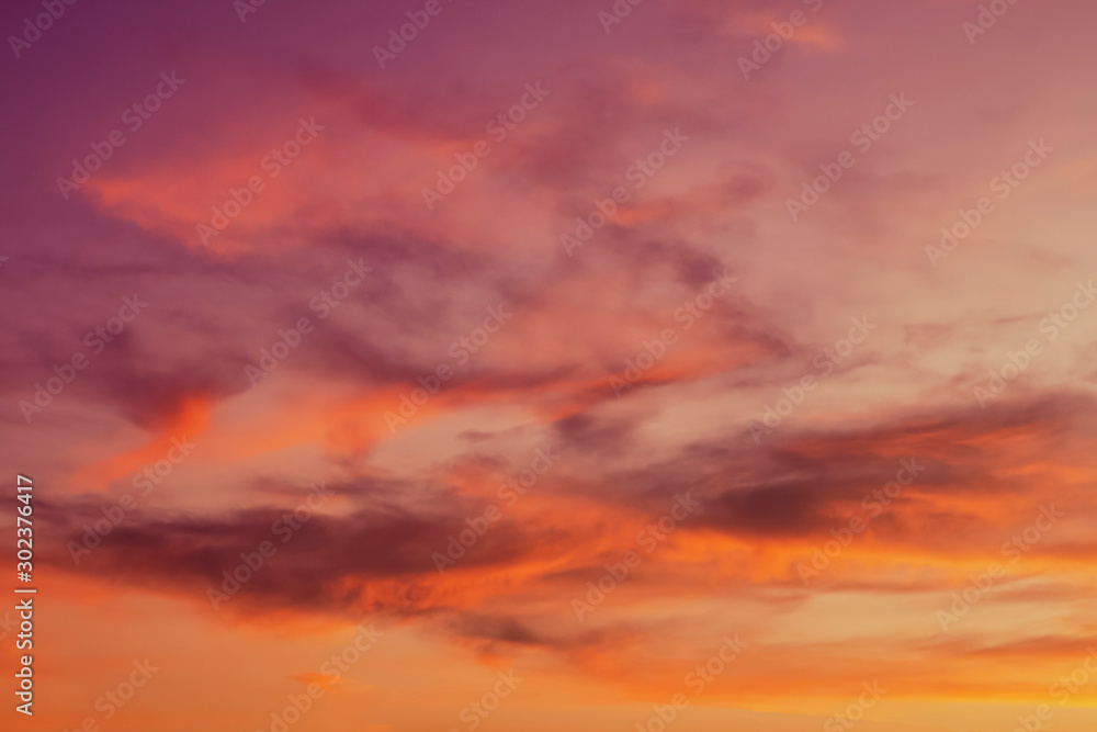 The evening sky at sunset is painted with bright, fantastic, saturated violet, red, orange, yellow, golden colors. Dramatic skies with light fluffy cirrus clouds. Modern trendy abstract background