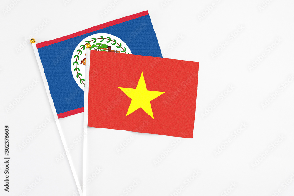 Vietnam and Belize stick flags on white background. High quality fabric, miniature national flag. Peaceful global concept.White floor for copy space. Vietnam and Belize stick flags on white background. High quality fabric, miniature national flag. Peaceful global concept.White floor for copy space.