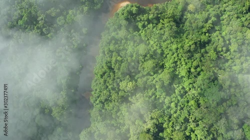 View from above, stunning aerial view of a tropical rainforest with the Sungai Tembeling River flowing through. Taman Negara National Park, located in Malaysia is the world's oldest rainforest.