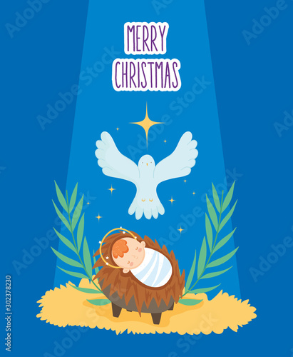 baby jesus in crib and pigeon manger nativity, merry christmas