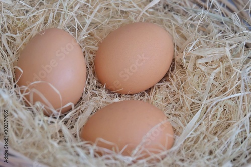 A group of raw eggs on brown dried hay in a basket 