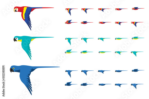 Animation Various Macaw Colors Flying Cute Cartoon Vector Illustration