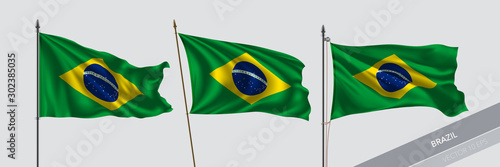 Set of Brazil waving flag on isolated background vector illustration