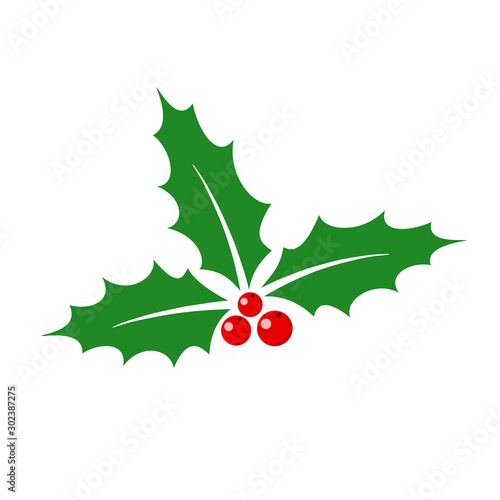 Christmas holly berry leaves. Vector illustration.