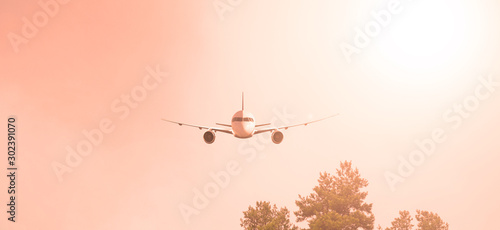 Plane on the background of the evening sky. Sunset.