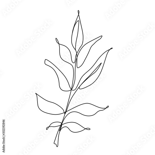 One line leaf vector drawing. Botanical Continuous line Contour illustration