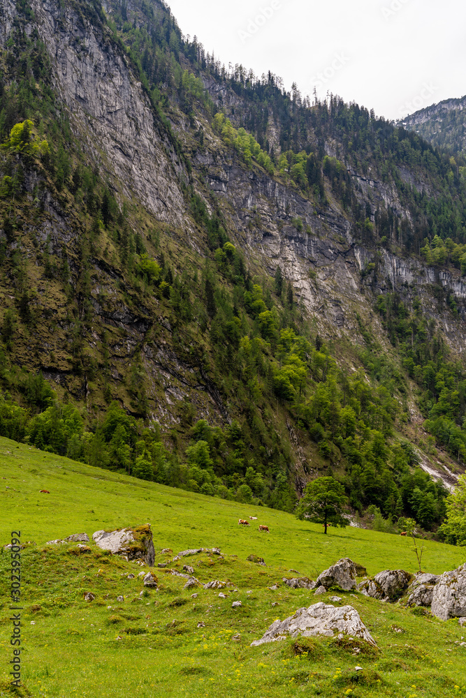 berghang in den alpen berghang in den alpen
