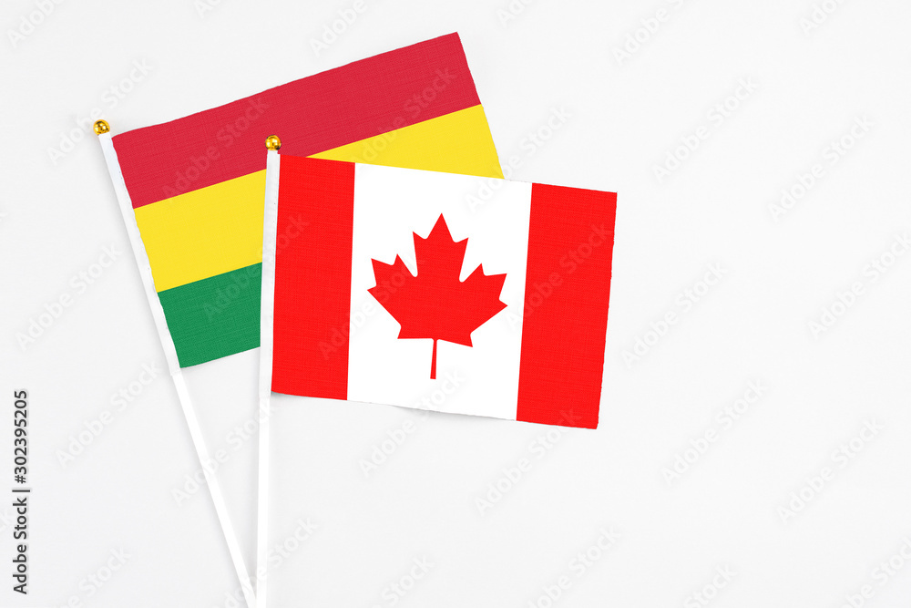 Canada and Bolivia stick flags on white background. High quality fabric, miniature national flag. Peaceful global concept.White floor for copy space. Canada and Bolivia stick flags on white background. High quality fabric, miniature national flag. Peaceful global concept.White floor for copy space.