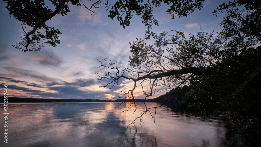 Tree branches reaching out over a lake during sunset